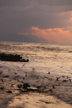 冬の日本海
