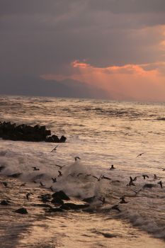 冬の日本海｜写真ライブラリー（無料ダウンロード）｜【公式】新潟県の