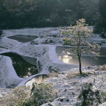 初雪の朝