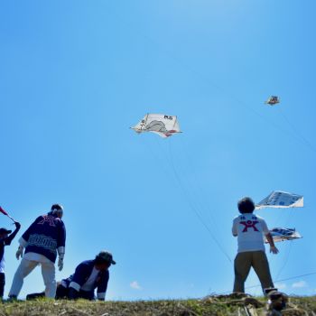 見附今町・長岡中之島大凧合戦
