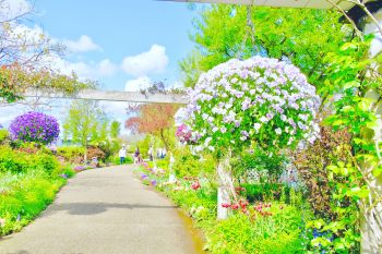 みつけイングリッシュガーデン