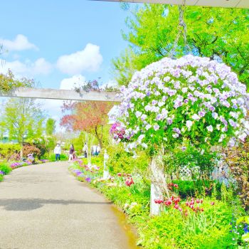 みつけイングリッシュガーデン