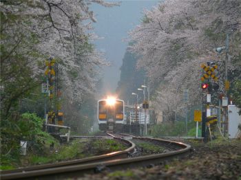 雨の朝