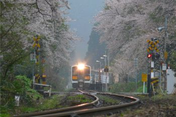 雨の朝