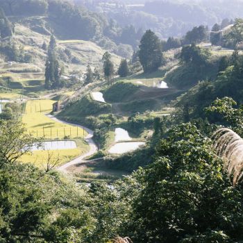 山古志の秋