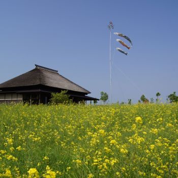 心地よい春風の中で