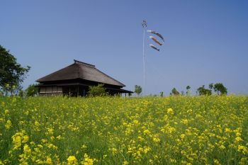 心地よい春風の中で