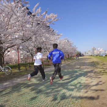 春風とランニング！