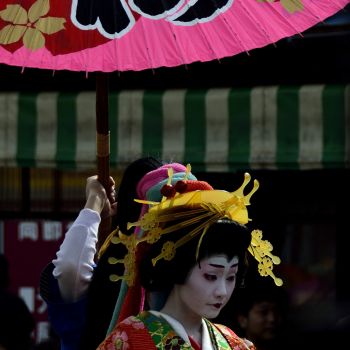 陽を受けて