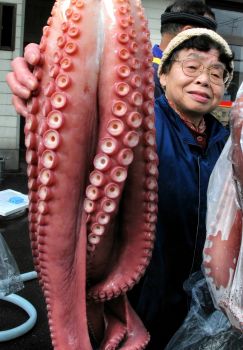 大きな珍味