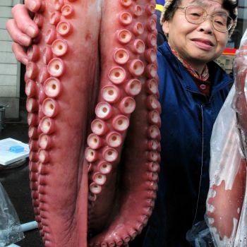 大きな珍味