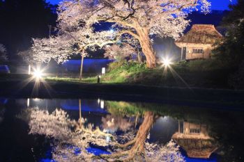 春の宵