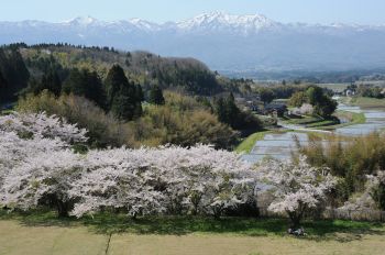 山里の春