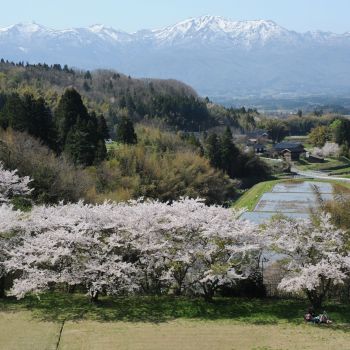 山里の春