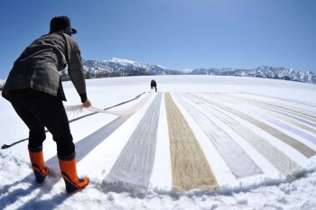 春一番・雪さらし