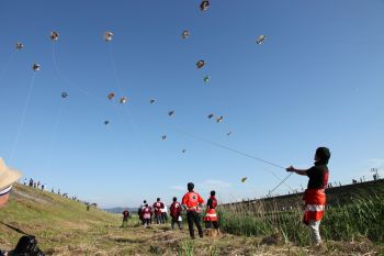 ふるさとの大凧合戦