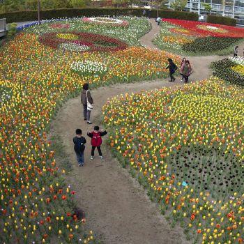 花のふるさと