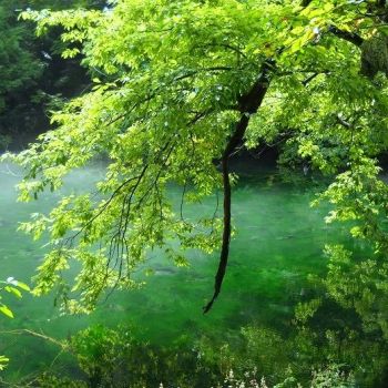 夏の日の竜ヶ窪