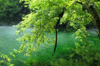 夏の日の竜ヶ窪