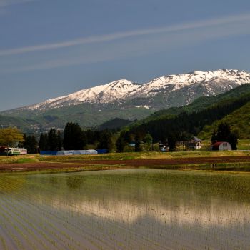 春景
