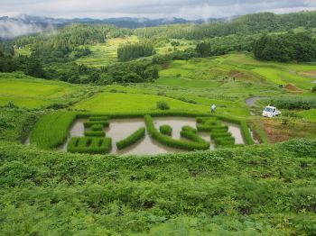 今年の稲文字は「心」です。