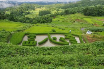 今年の稲文字は「心」です。