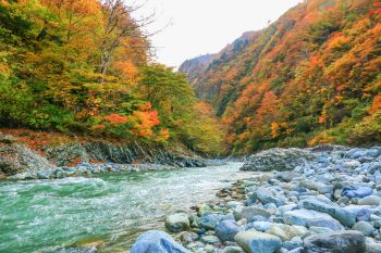 彩る清津川