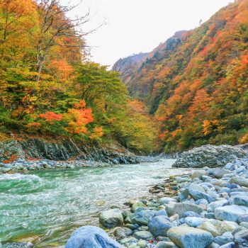 彩る清津川