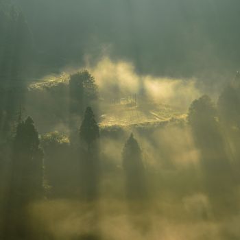 朝霧