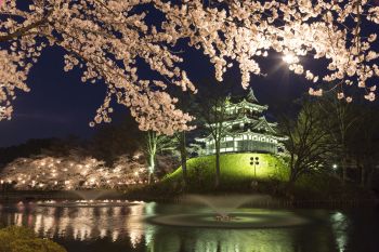 高田城址公園観桜会