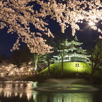 高田城址公園観桜会