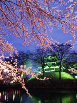 高田城址公園観桜会