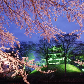 高田城址公園観桜会