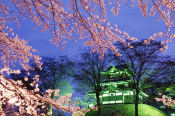 高田城址公園観桜会