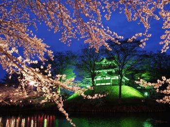 高田城址公園観桜会