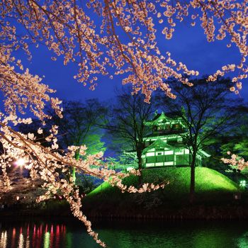 高田城址公園観桜会