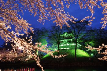 高田城址公園観桜会