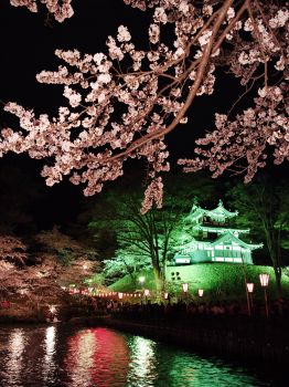 高田城址公園観桜会