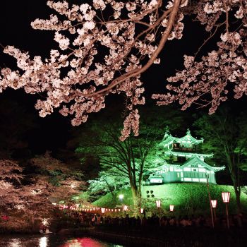 高田城址公園観桜会