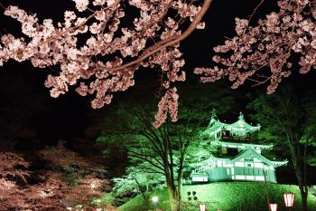 高田城址公園観桜会