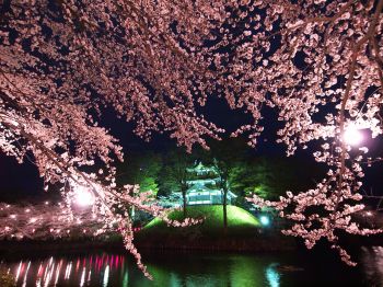 高田城址公園観桜会