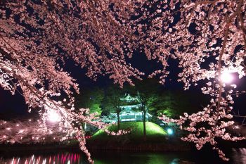 高田城址公園観桜会