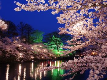 高田城址公園観桜会