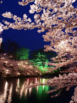 高田城址公園観桜会