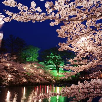 高田城址公園観桜会