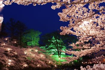 高田城址公園観桜会