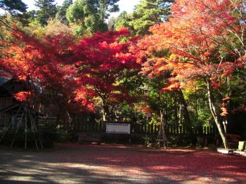 春日山神社