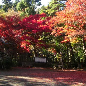 春日山神社