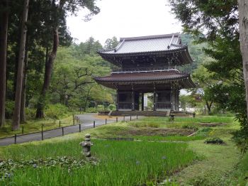 林泉寺の山門