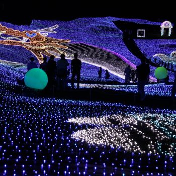 Myoko Happiness Illumination